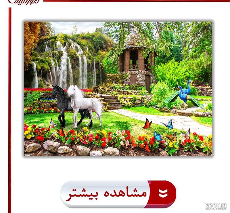 زیبا‌ترین گالری عکس درختان جهان در چهار فصل - ستاره