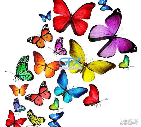 طرح پروانه برای نقاشی - نقاشی سمیه فتحی طرح پروانه برای نقاشی - نقاشی سمیه فتحی