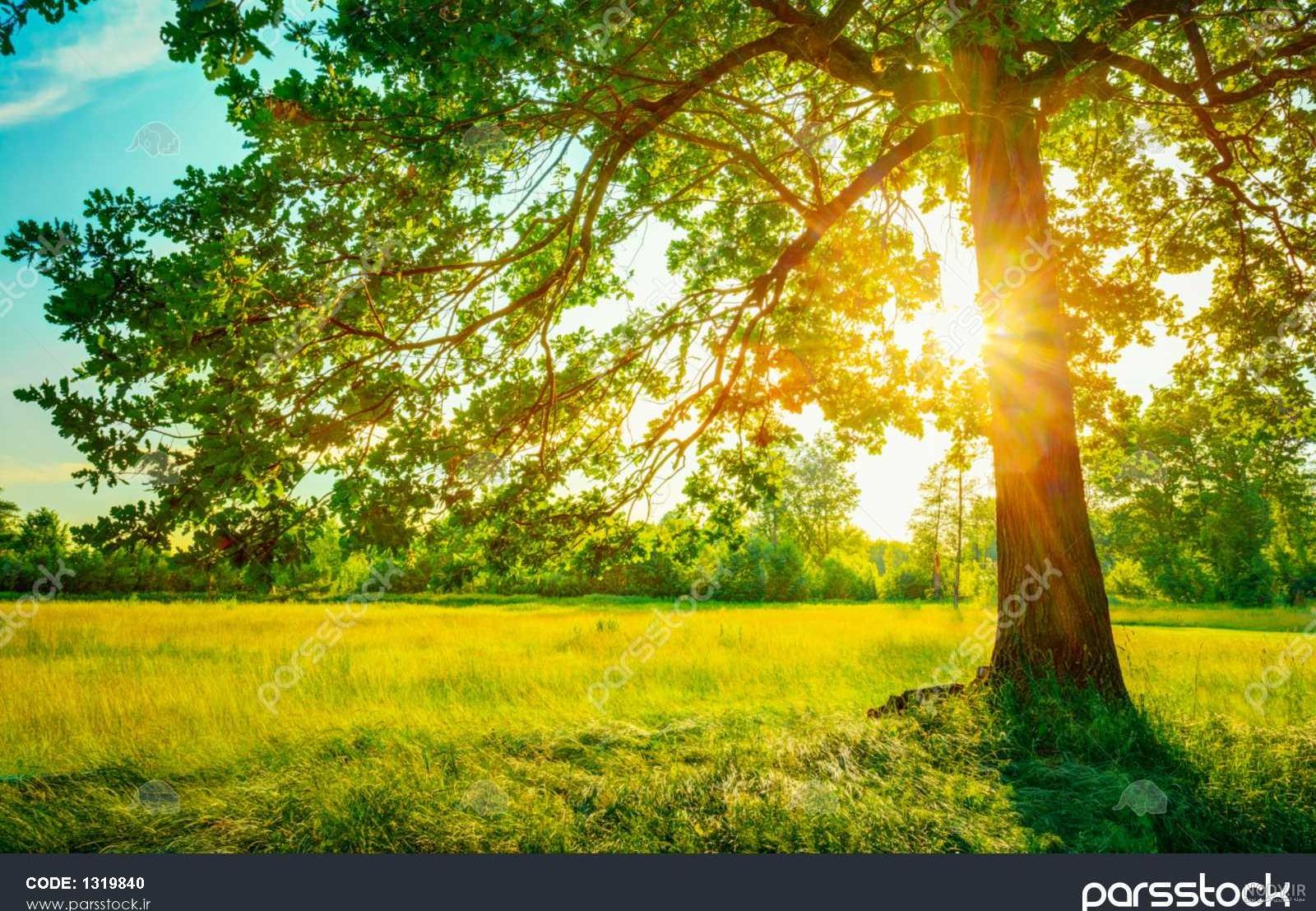 عکس تبلیغاتی طبیعت آبشار تابستانی عکس تبلیغاتی طبیعت آبشار تابستانی
