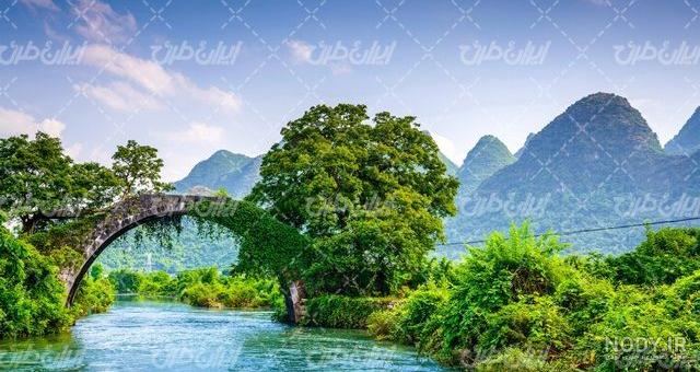 عکس تبلیغاتی طبیعت نیمکت در جنگل عکس تبلیغاتی طبیعت نیمکت در جنگل
