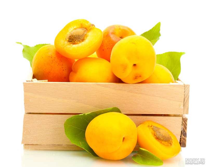 عکس ظرف میوه زردآلو apricots fruit ripe grass عکس ظرف میوه زردآلو apricots fruit ripe grass