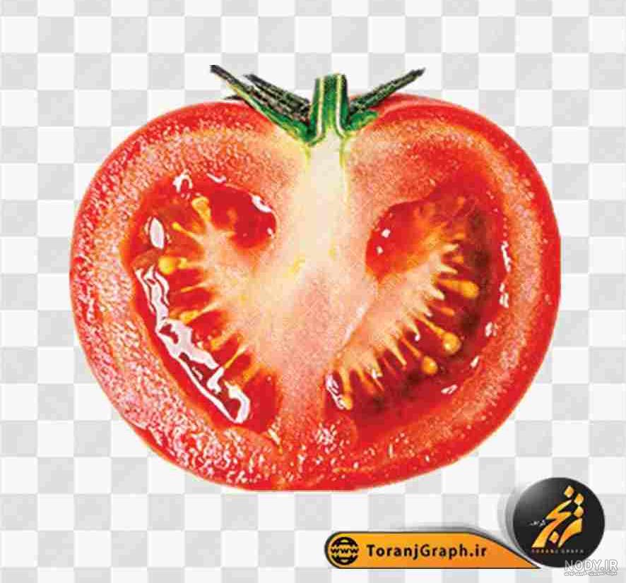 عکس ماه نصف شده - عکس نودی عکس ماه نصف شده - عکس نودی