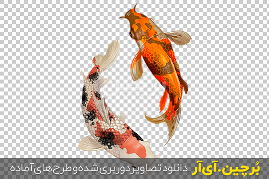 عکس ماهی نقاشی بزرگ