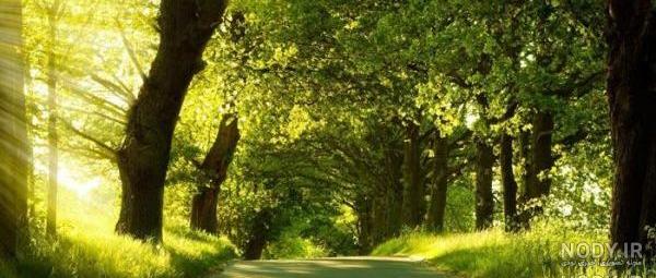 عکس منظره تابستان - عکس نودی عکس منظره تابستان - عکس نودی