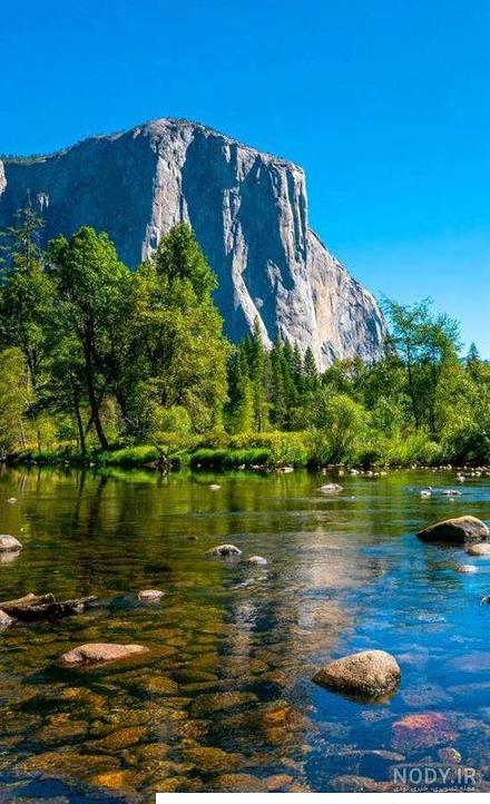 عکس منظره جنگل پاییزی عکس منظره جنگل پاییزی