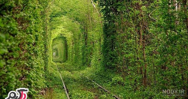 عکس منظره درخت - عکس نودی عکس منظره درخت - عکس نودی