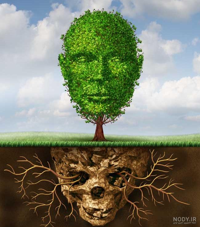 عکس منظره درخت - عکس نودی
