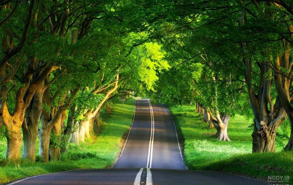 عکس منظره طبیعت تابستانی عکس منظره طبیعت تابستانی