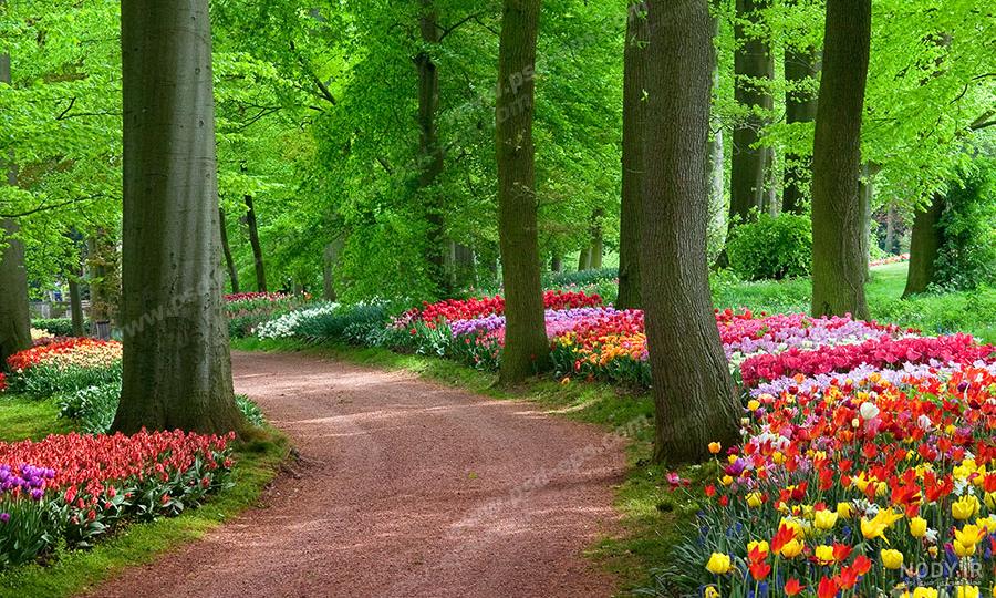 عکس منظره + عکس نوشته و تصاویر بدون نوشته منظره برای پروفایل و استوری عکس منظره + عکس نوشته و تصاویر بدون نوشته منظره برای پروفایل و استوری