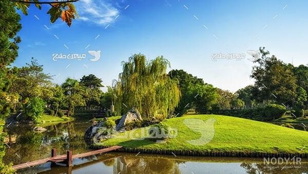 عکس منظره کلبه جنگلی عکس منظره کلبه جنگلی