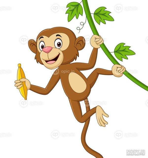 عکس میمون رنگ شده