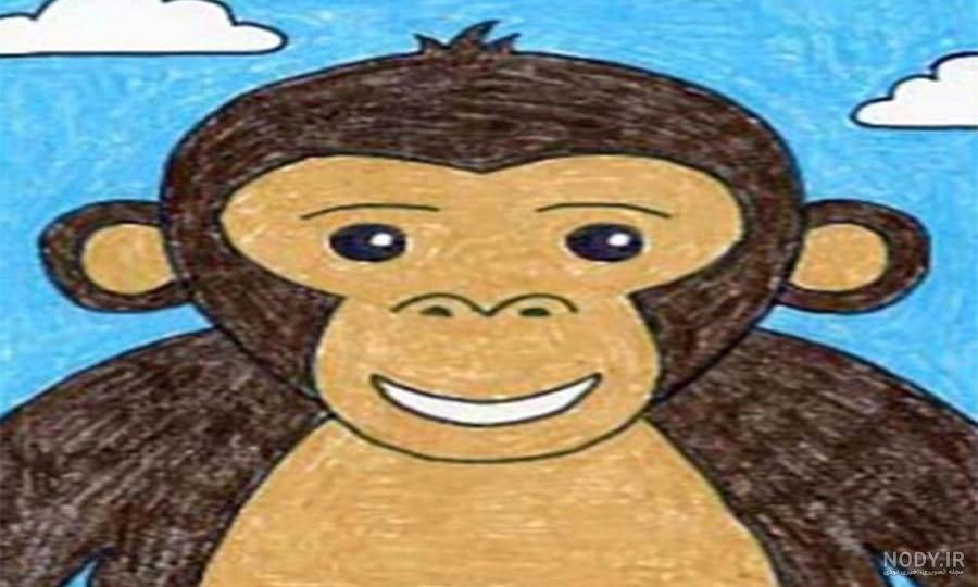 عکس میمون🐒دانلود 20 عکس میمون با کیفیت بالا