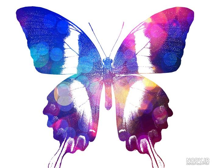 عکس پروانه برای پروفایل 1402 | عکس پروانه برای پروفایل شاد | عکس پروانه  برای پروفایل واتساپ