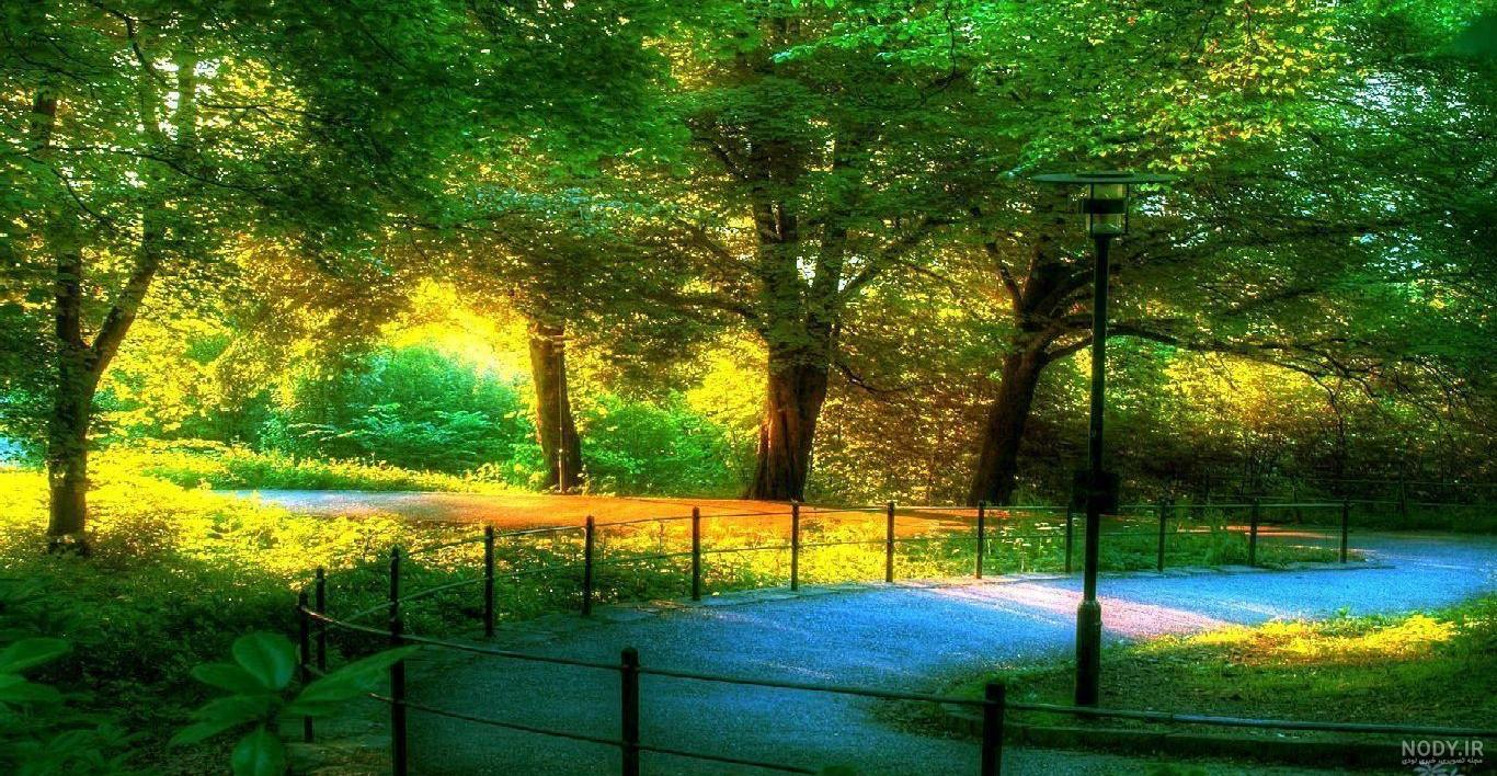 منظره زیبا و رویایی - عکس ویسگون