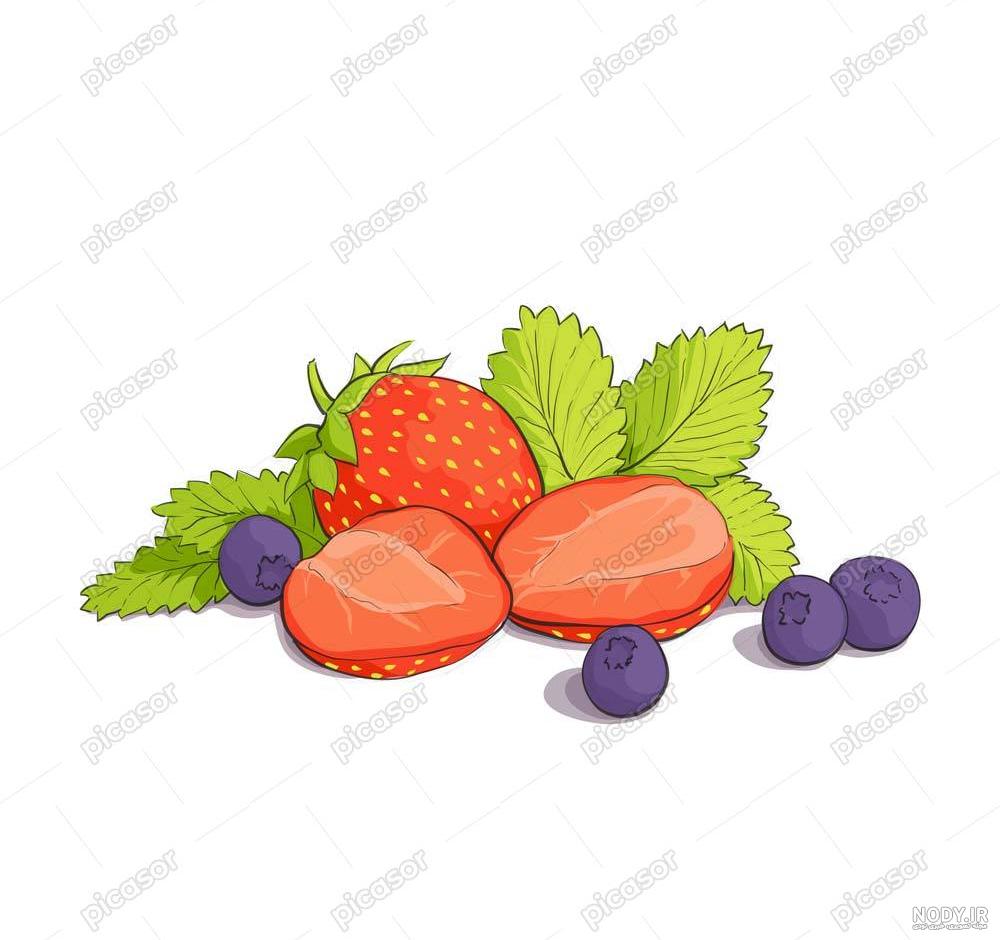 میوه - مسترگراف میوه - مسترگراف