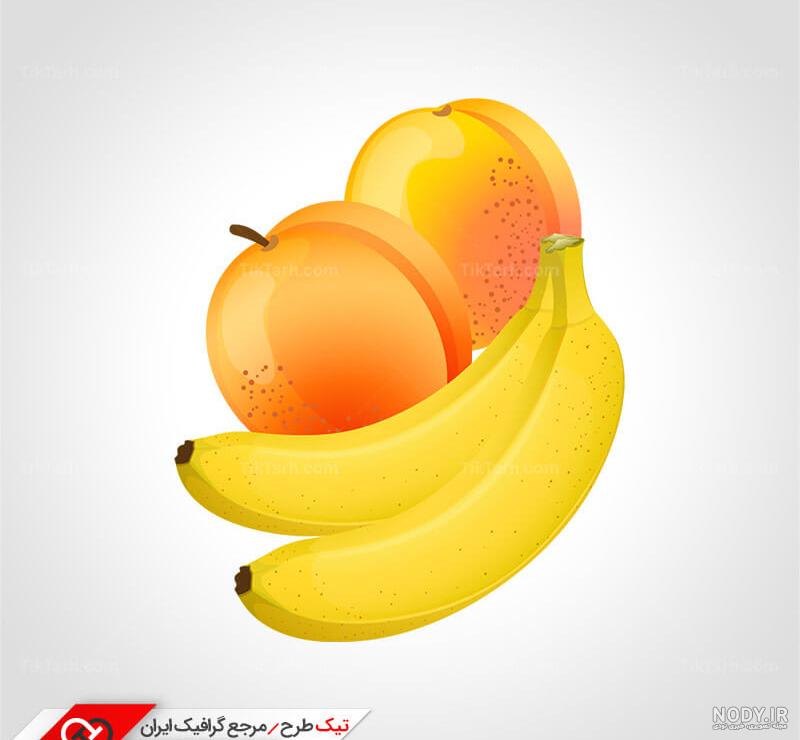 وکتور زردآلو کارتونی وکتور زردآلو کارتونی