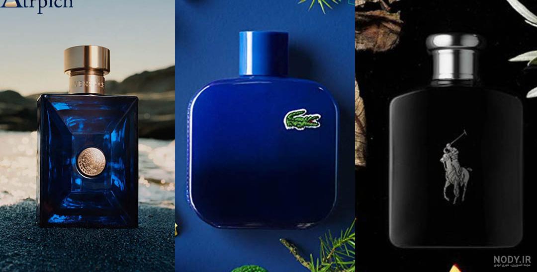 عطر ادکلن رصاصی بلو لیدی اصلی | Rasasi Blue Lady حجم 40 میل +اسپری رایگان(اورجینال) - عطر و ادکلن سوییت سنت عطر ادکلن رصاصی بلو لیدی اصلی | Rasasi Blue Lady حجم 40 میل +اسپری رایگان(اورجینال) - عطر و ادکلن سوییت سنت