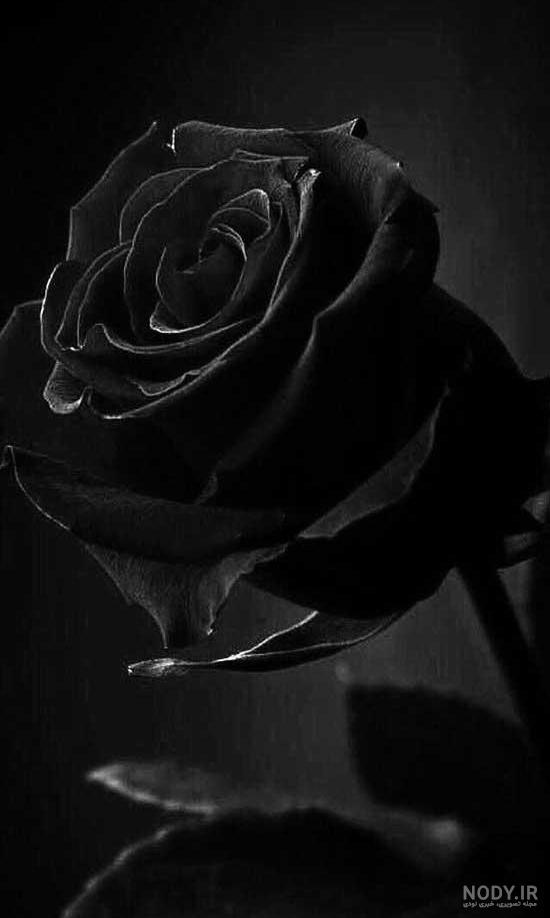  عکس پس زمینه مشکی سه بعدی با کیفیت بالا