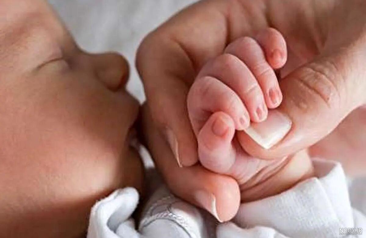 دکتر مهرنوش امیری٫متخصص زنان٫فلوشیپ نازاییIVF | اینم دو قلو های تازه متولد  شده عزیزمون 🥰 اگه تونستین جنسیت شون رو‌حدس بزنین🥰 @dr_mehrnush_amiri  @dr_mehrnush_amiri @dr_mehrnush_amiri… | Instagram