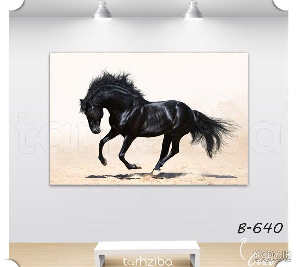 عکس اسب برای نقاشی