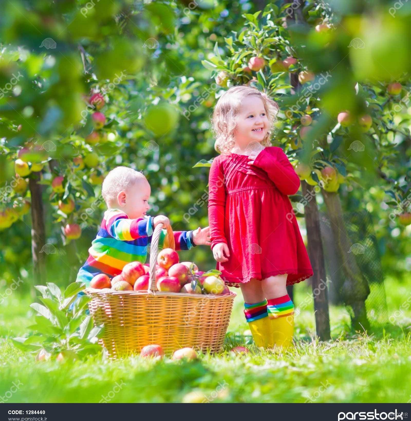عکس نی نی های ناز و خوشگل چشم رنگی