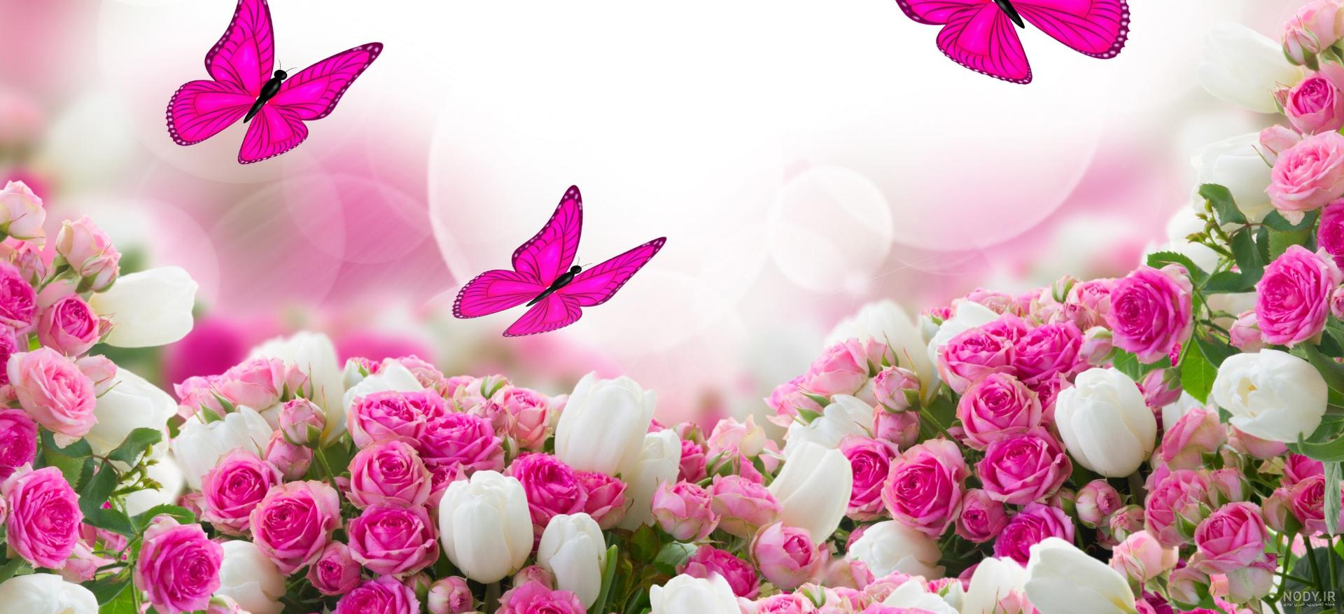 تصاویر گل های زیبای طبیعت