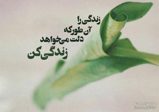عکس های زیبا برای هایلایت اینستاگرام