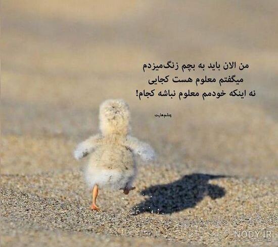 عکس های زیبا برای پست اینستاگرام