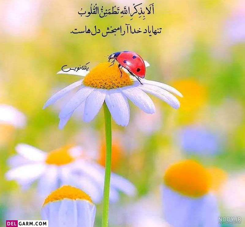 عکس واتساپ جدید | عکس برای پروفایل واتساپ دخترانه | عکس برای پروفایل واتساپ  دخترانه