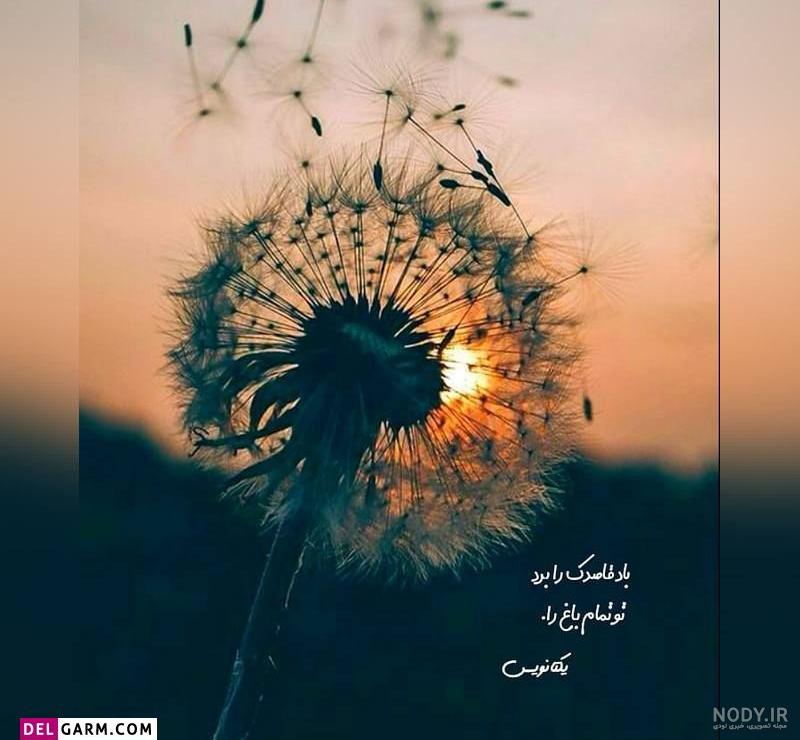 عکس پروفایل واتساپ با سوژه های جذاب و خاص برای افراد لاکچری