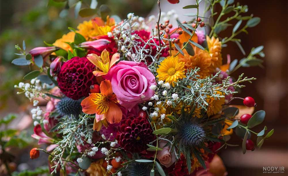 مجموعه عکس گل های زیبا و جذاب + راهنمای آشنایی با گلها