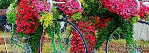 عکس های جالب و دیدنی خنده دار جدید