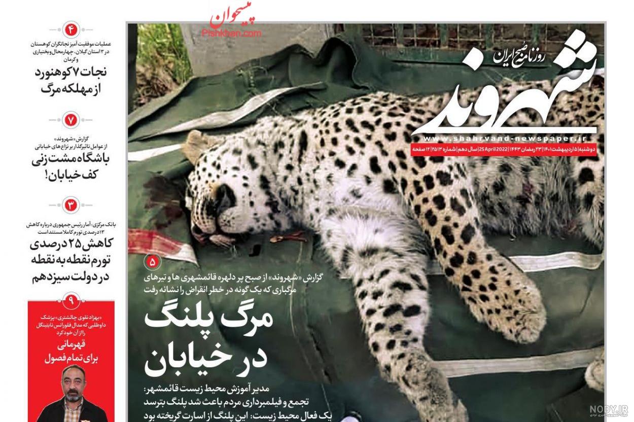 جدیدترین تصاویر از پیروز/یوزپلنگ ایرانی با نمایی از برج میلاد+عکس‌ها