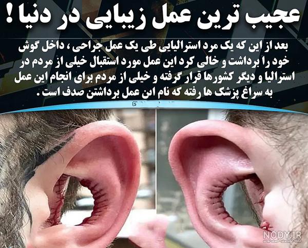 خرید و قیمت مجموعه انواع صدفهای دریایی بسیار زیبا از غرفه فروشگاه خلیج پارس خرید و قیمت مجموعه انواع صدفهای دریایی بسیار زیبا از غرفه فروشگاه خلیج پارس