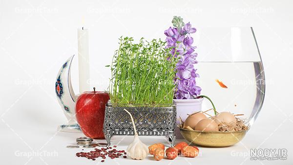 خرید گلدان گل سنبل بنفش کد 4830 ارسال فوری | باختر