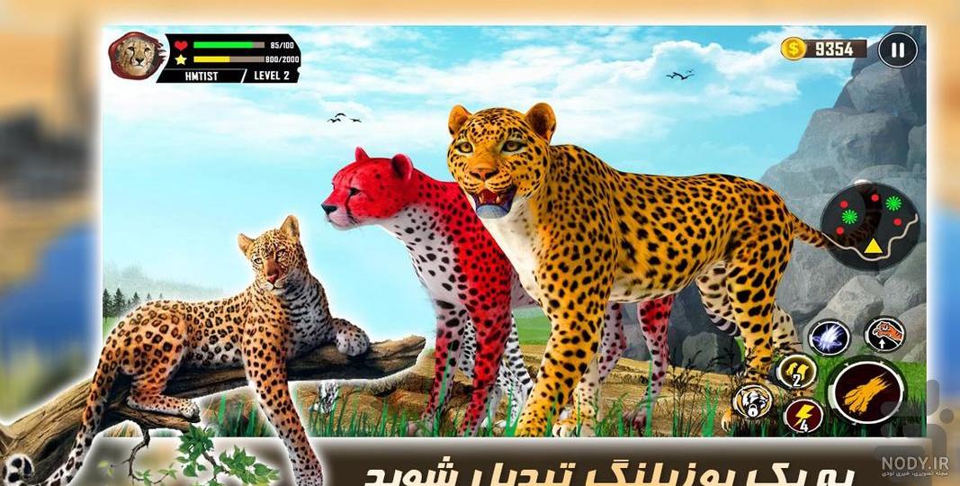 دانلود عکس با کیفیت سه یوزپلنگ آسیایی در حال حرکت به سمت دوربین
