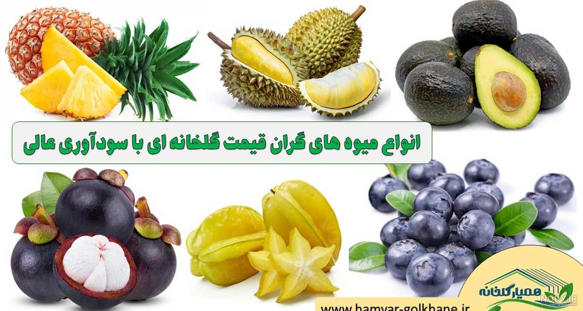 طعم لاکچری میوه‌های خوش آب و رنگ بهاری| میوه در یزد گران نیست!