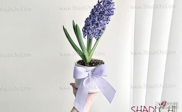 عکاسی سفره هفت سین + چیدمان - عکاسی صنعتی و تبلیغاتی در اصفهان
