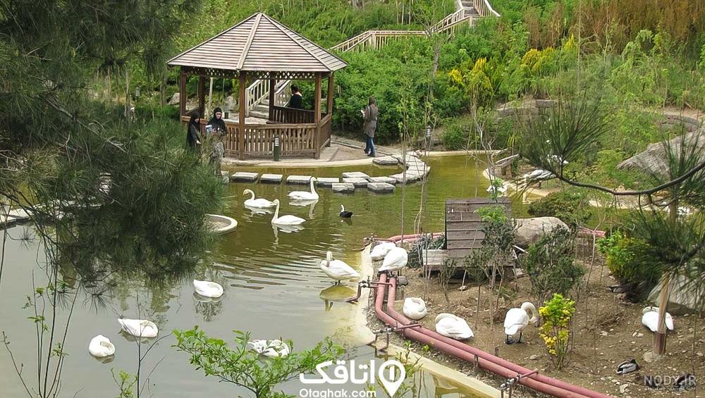 عکس های زیبا از باغ ارم شیراز عکس های زیبا از باغ ارم شیراز
