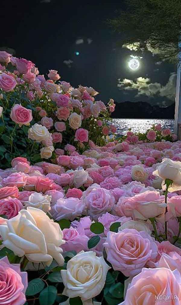 عکس های زیبا از گل برای پروفایل