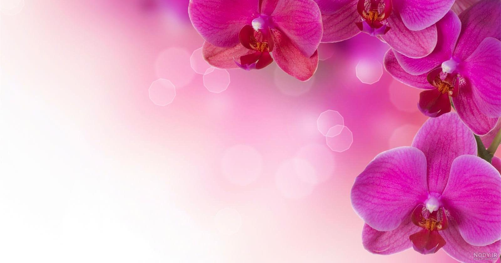 عکس های زیبا پس زمینه ❤️ [ بهترین تصاویر ]