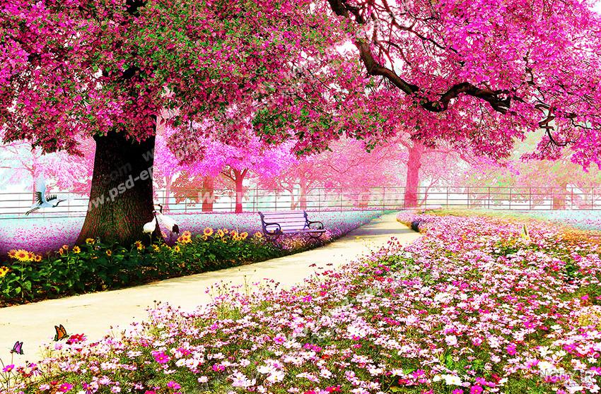 عکس عکس های فصل بهار