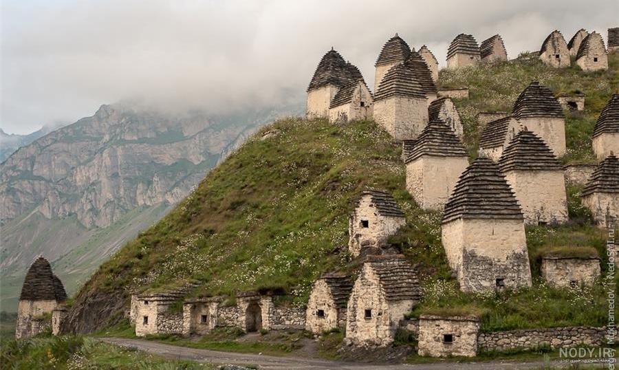 عکس واقعی مردآزما عکس واقعی مردآزما
