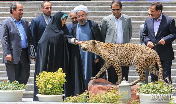 عکس یوزپلنگ در ایران