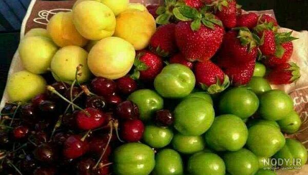 پر خاصیت ترین میوه های بهاری | محبوب و پرخواص ترین میوه های بهاری - روماک لجستیک پر خاصیت ترین میوه های بهاری | محبوب و پرخواص ترین میوه های بهاری - روماک لجستیک