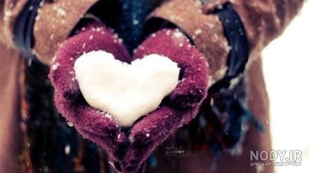 heart-and-flower-photo/ heart-and-flower-photo/