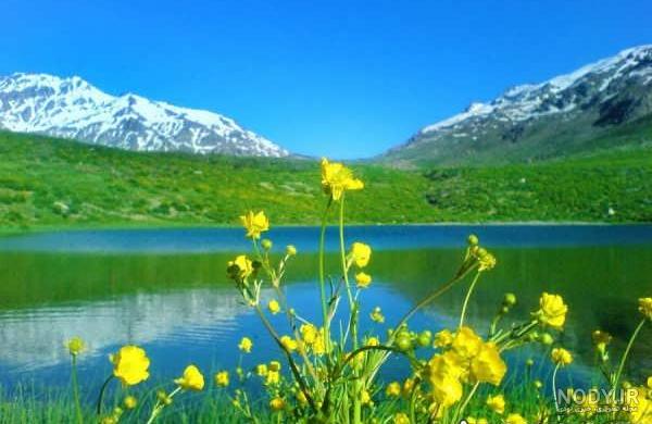 110 عکس طبیعت⭐دانلود عکس های زیبای طبیعت با کیفیت بالا 110 عکس طبیعت⭐دانلود عکس های زیبای طبیعت با کیفیت بالا