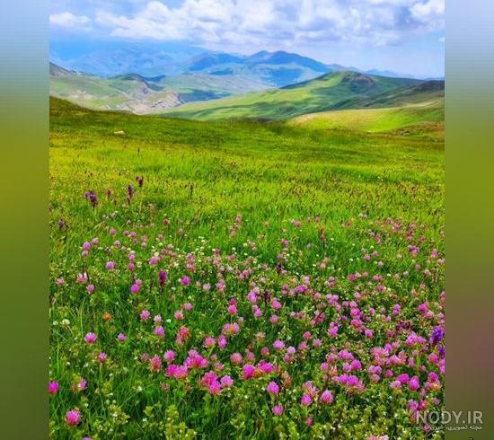 90 عکس گل و منظره زیبا برای پروفایل 2024؛ بدون متن/ بینظیر/ واقعا خوشگل جذاب - گلی خانوم 90 عکس گل و منظره زیبا برای پروفایل 2024؛ بدون متن/ بینظیر/ واقعا خوشگل جذاب - گلی خانوم