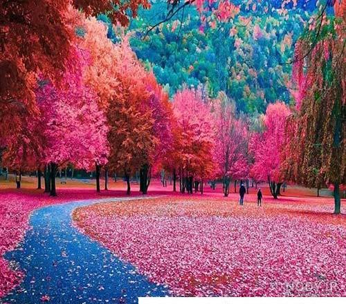 بهترین عکس دخترانه زیبا/ جذاب/ خاص/خوشتیپ ویژه پروفایل [اینستا-واتساپ]
