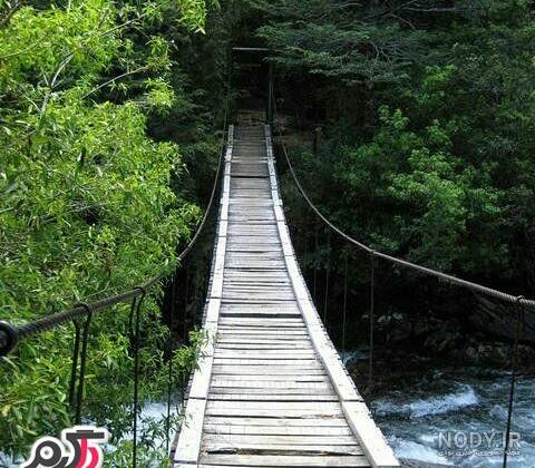 تصاویر دیدنی از طبیعت زیبای ایران (1) تصاویر دیدنی از طبیعت زیبای ایران (1)